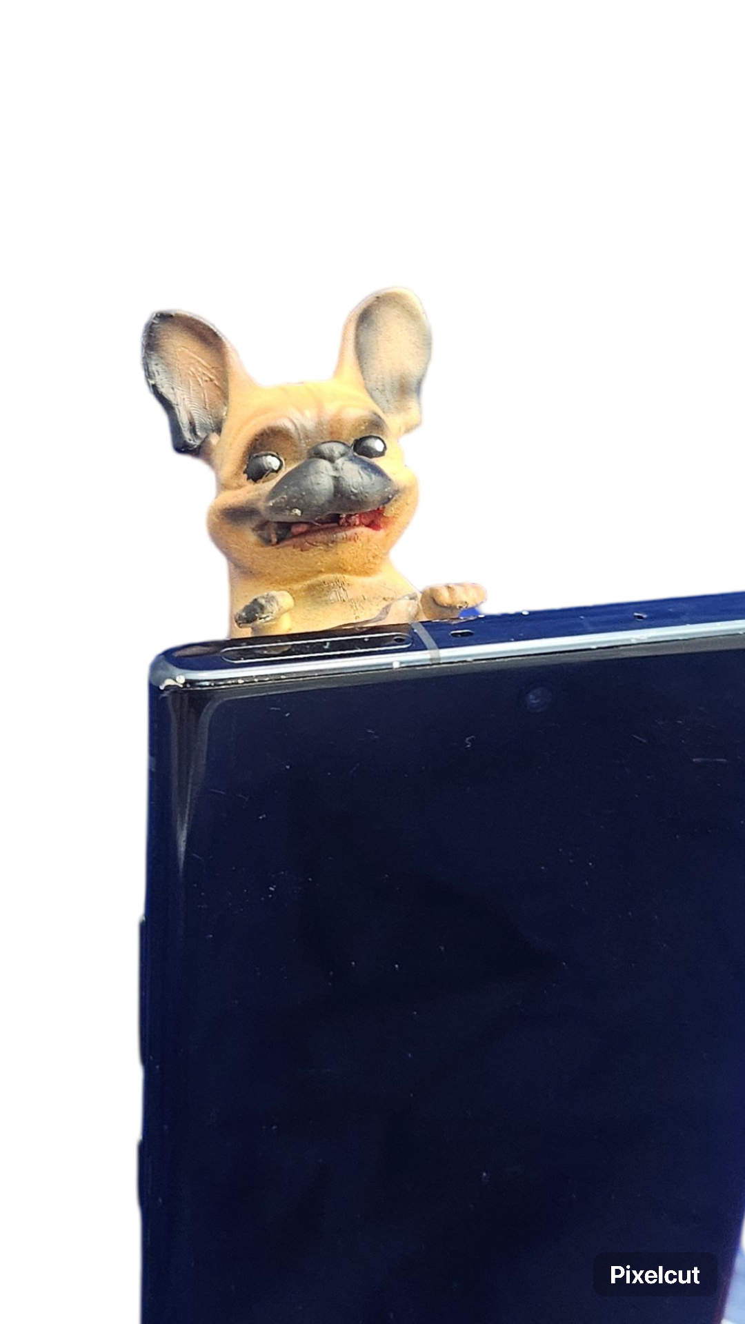 Mymovilpets